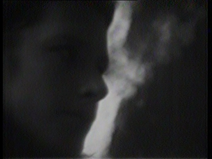 VideoDatabase - 3e Carte blanche : Christophe Piette