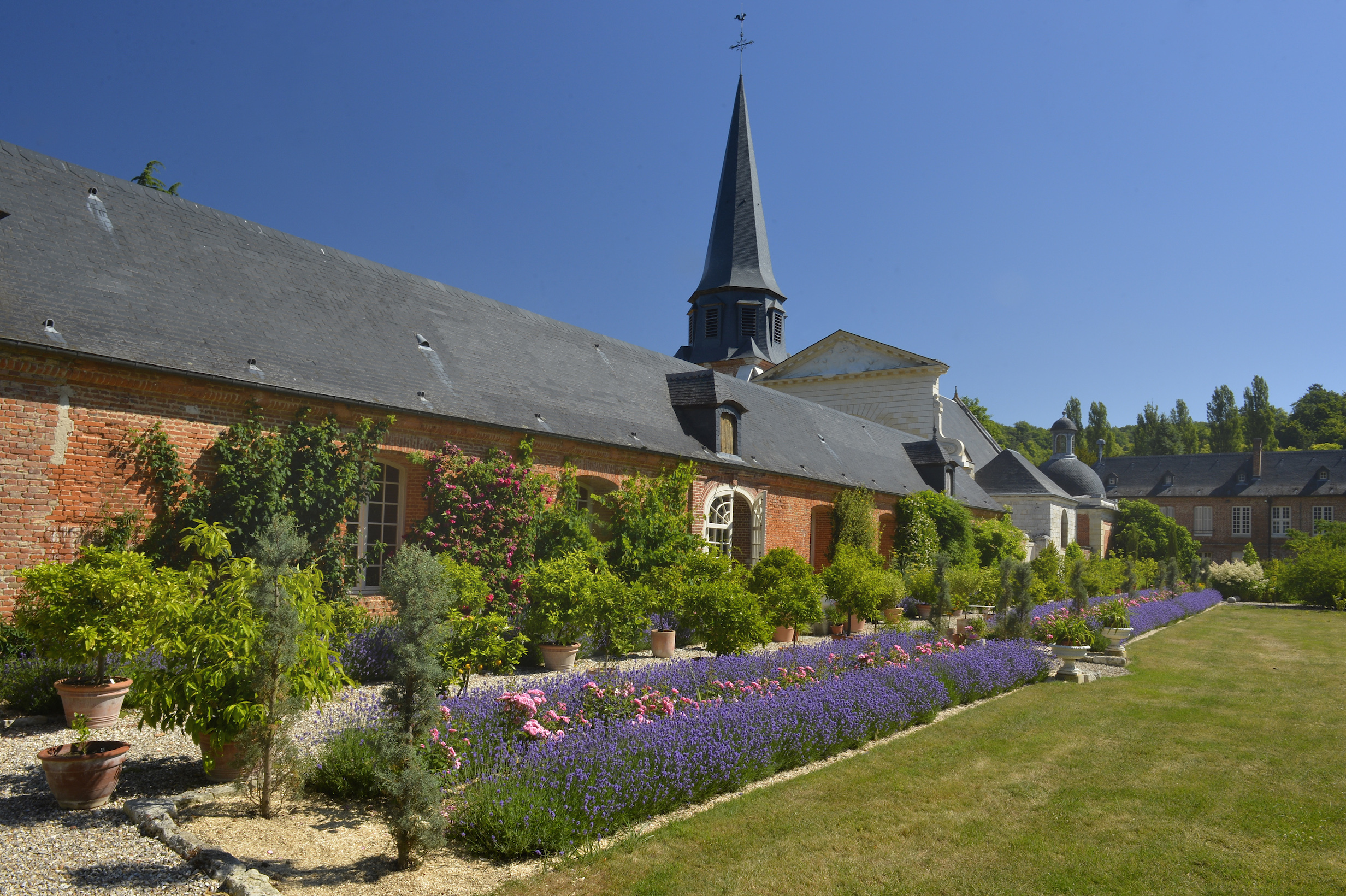 Visite libre découverte d'un jardin aux essences des 5 continents