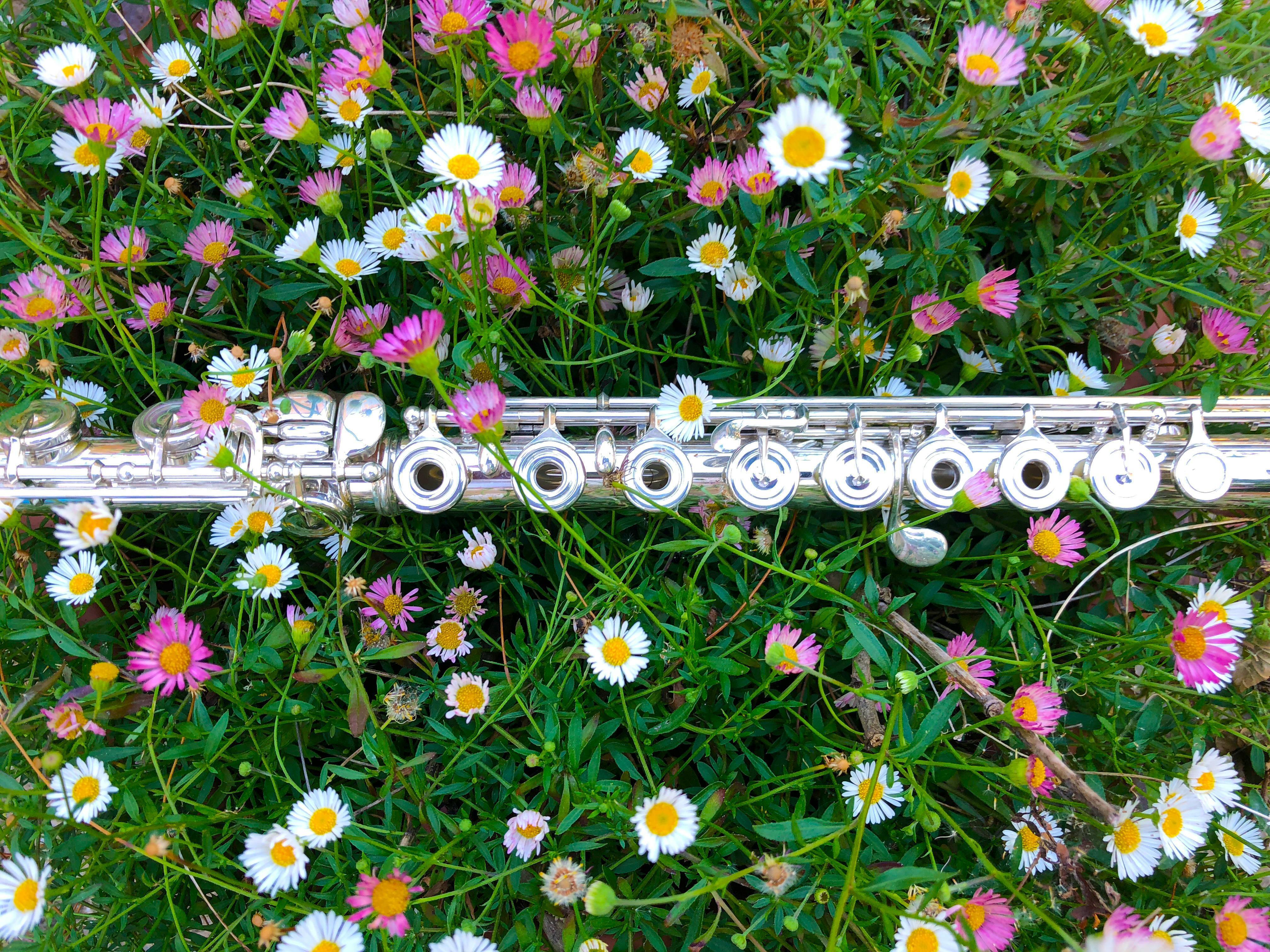 Concert classique en plein air