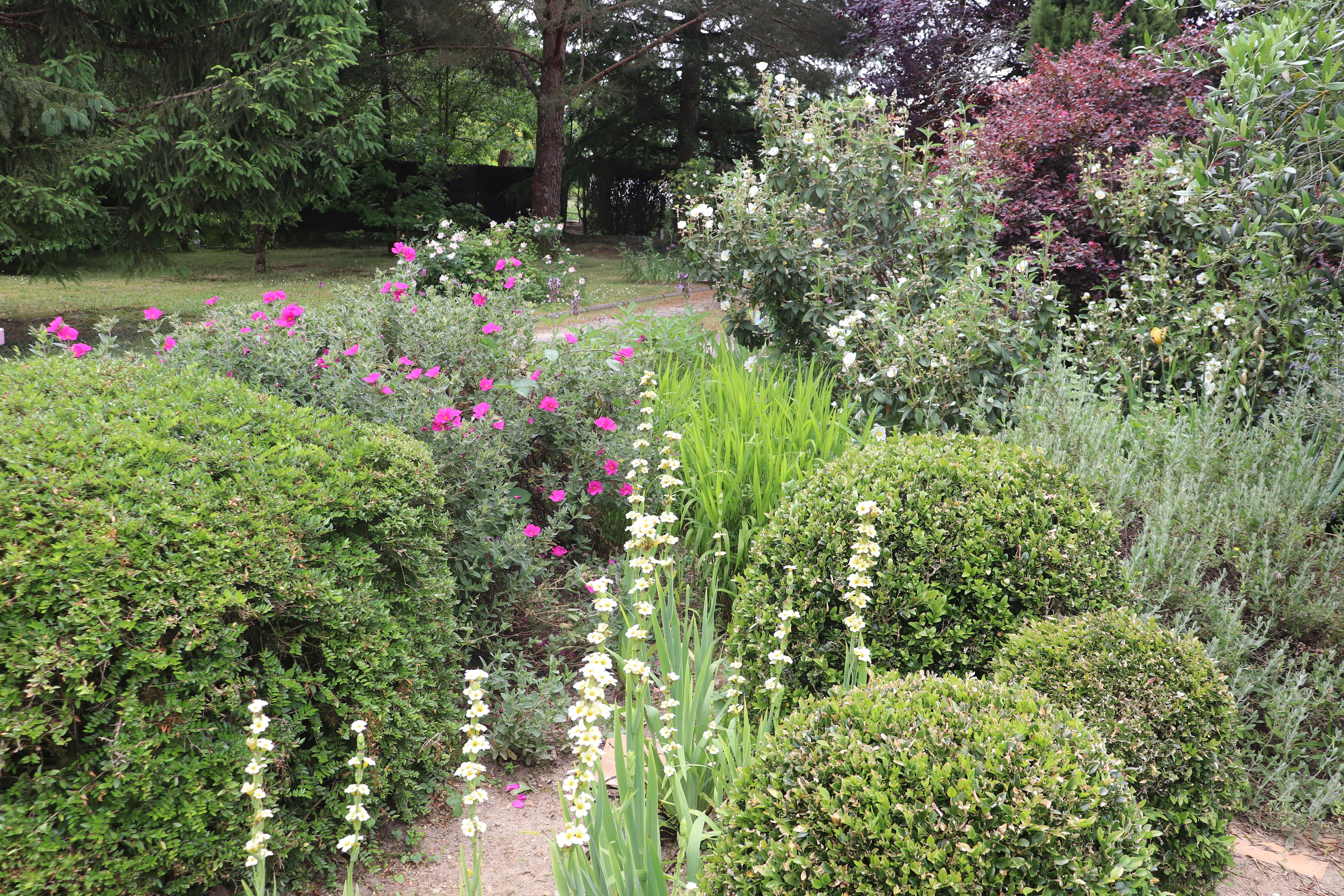 Rendez vous aux Jardins