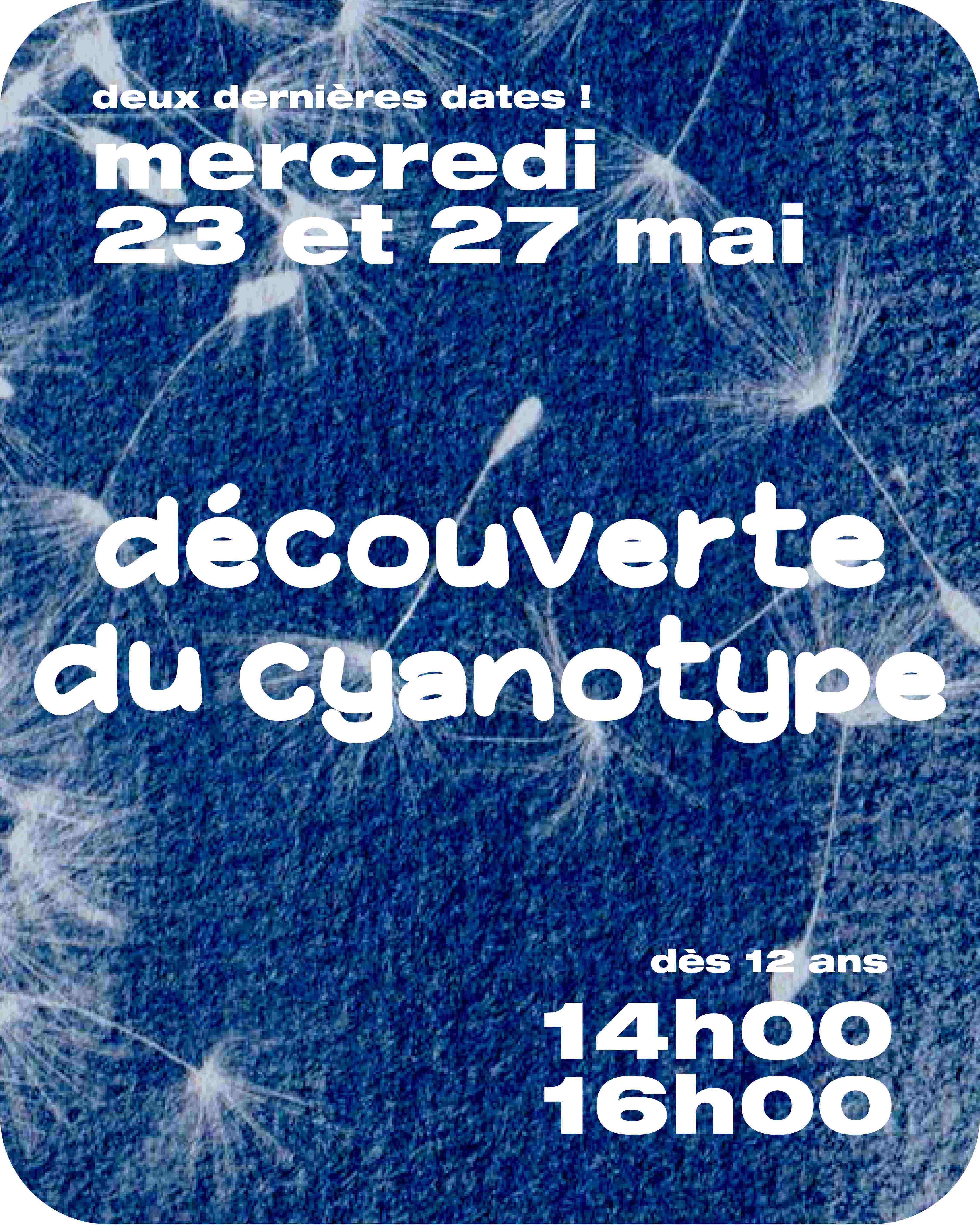 Découverte du cyanotype à Maison Marbeuf