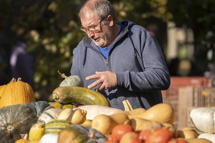 Fête de la citrouille