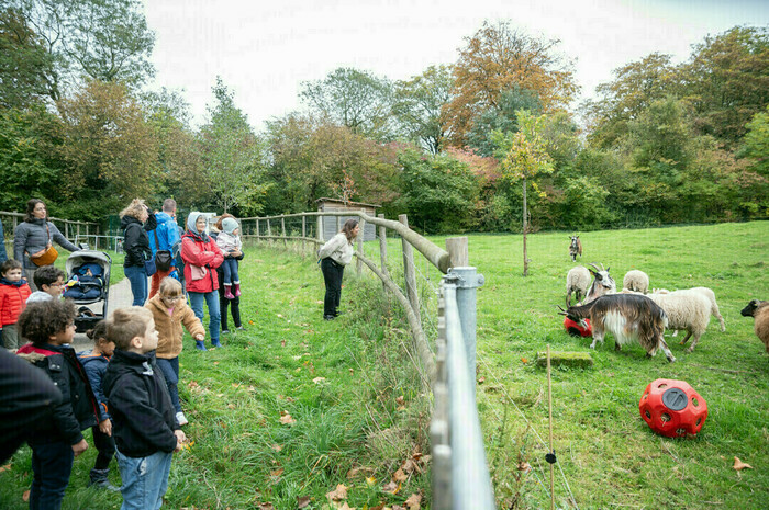 Sortie commentée des animaux