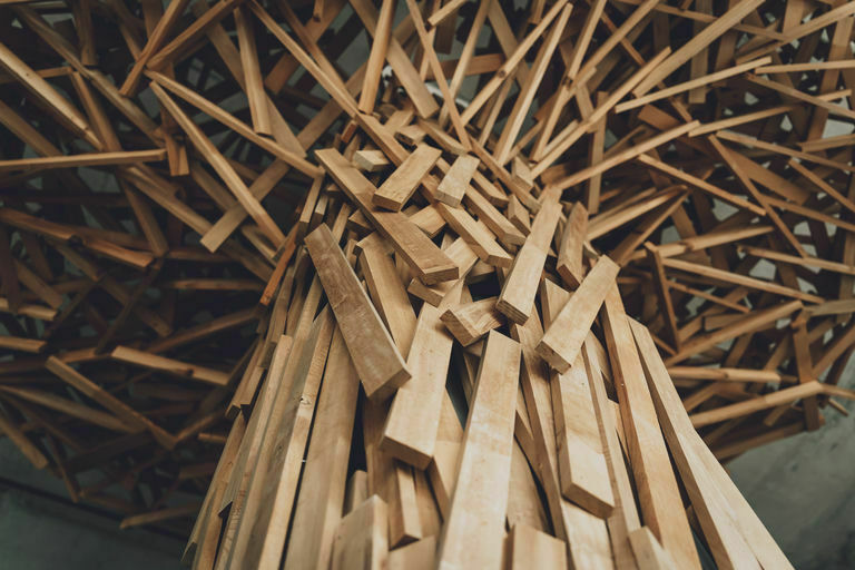 Une journée en forêt - Participation et co-construction !