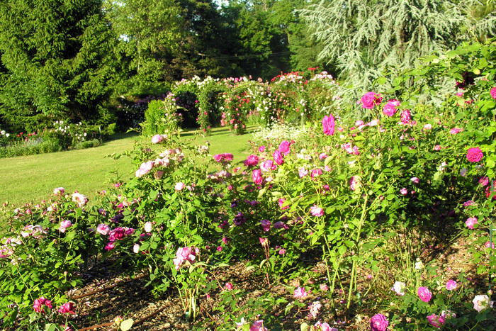 Jardin de l'Hermitage,  Chemin de Lorette en face du n°37 69230 Saint-Genis-Laval