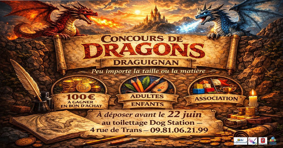 Concours de dragons