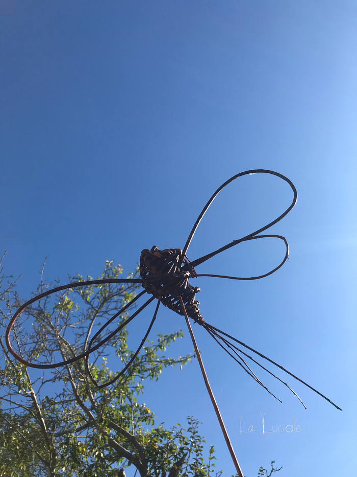 Libellules et papillons en vannerie