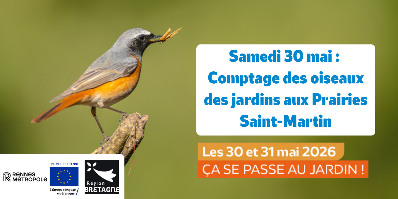 Le comptage des oiseaux des jardins aux Prairies Saint-Martin