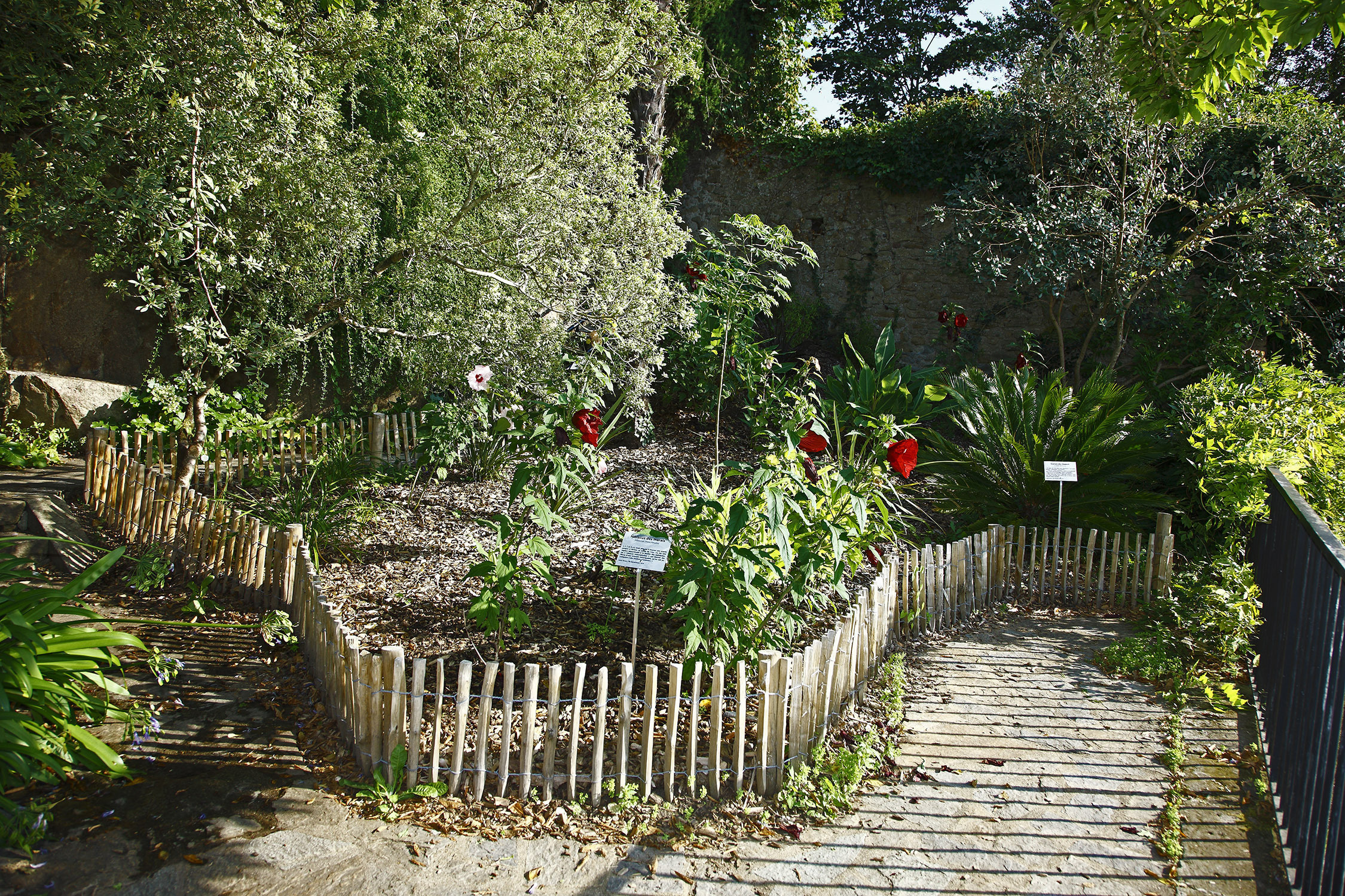 Ouverture estivale du jardin