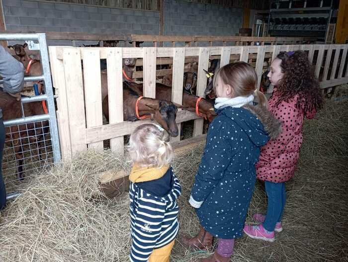 Ferme du Pont Urgin 52220 Planrupt