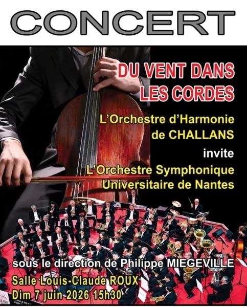 DU VENT DANS LES CORDES