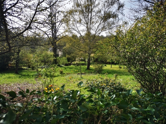 Jardin de Lisa