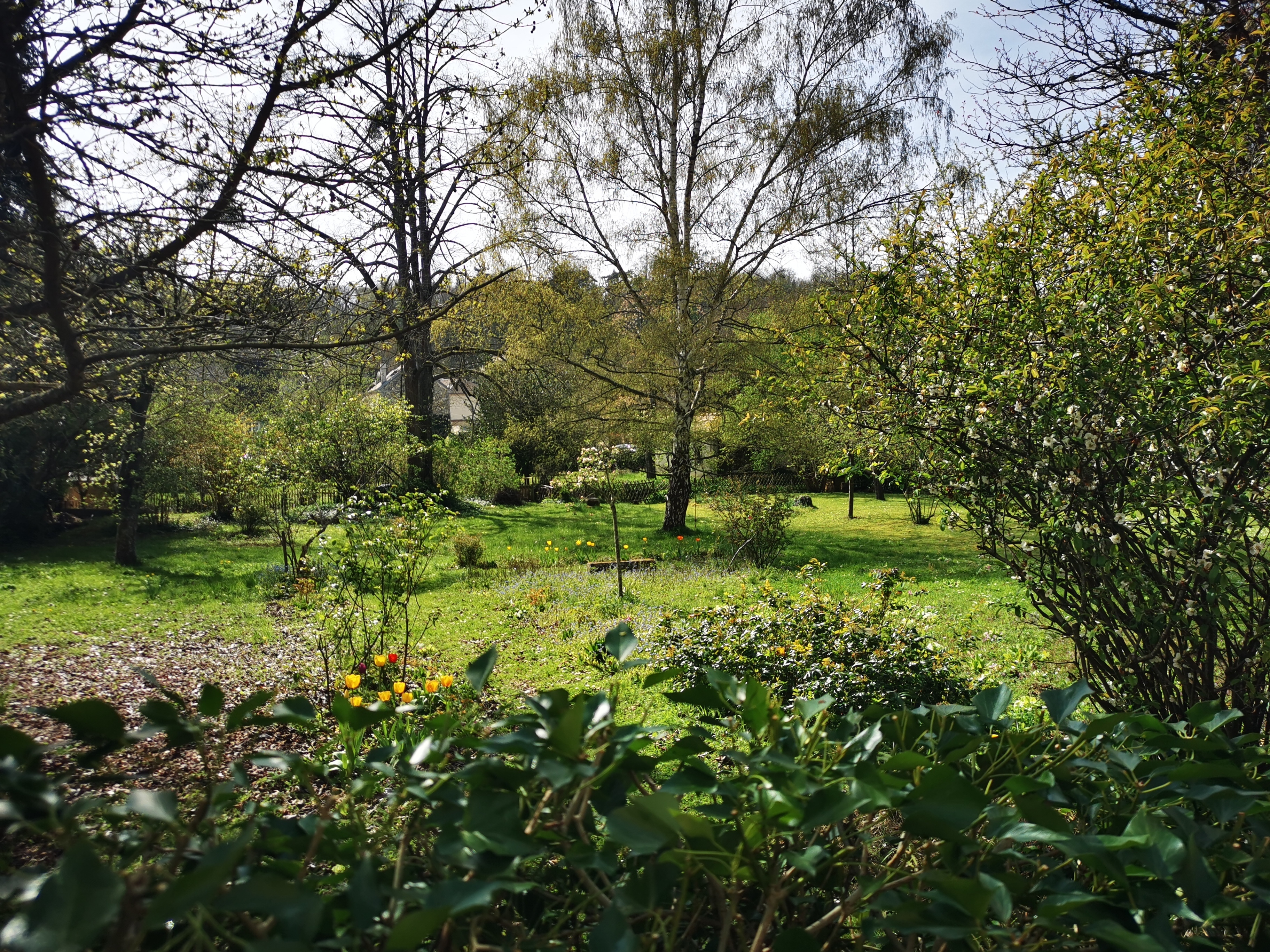Visite du jardin de Lisa