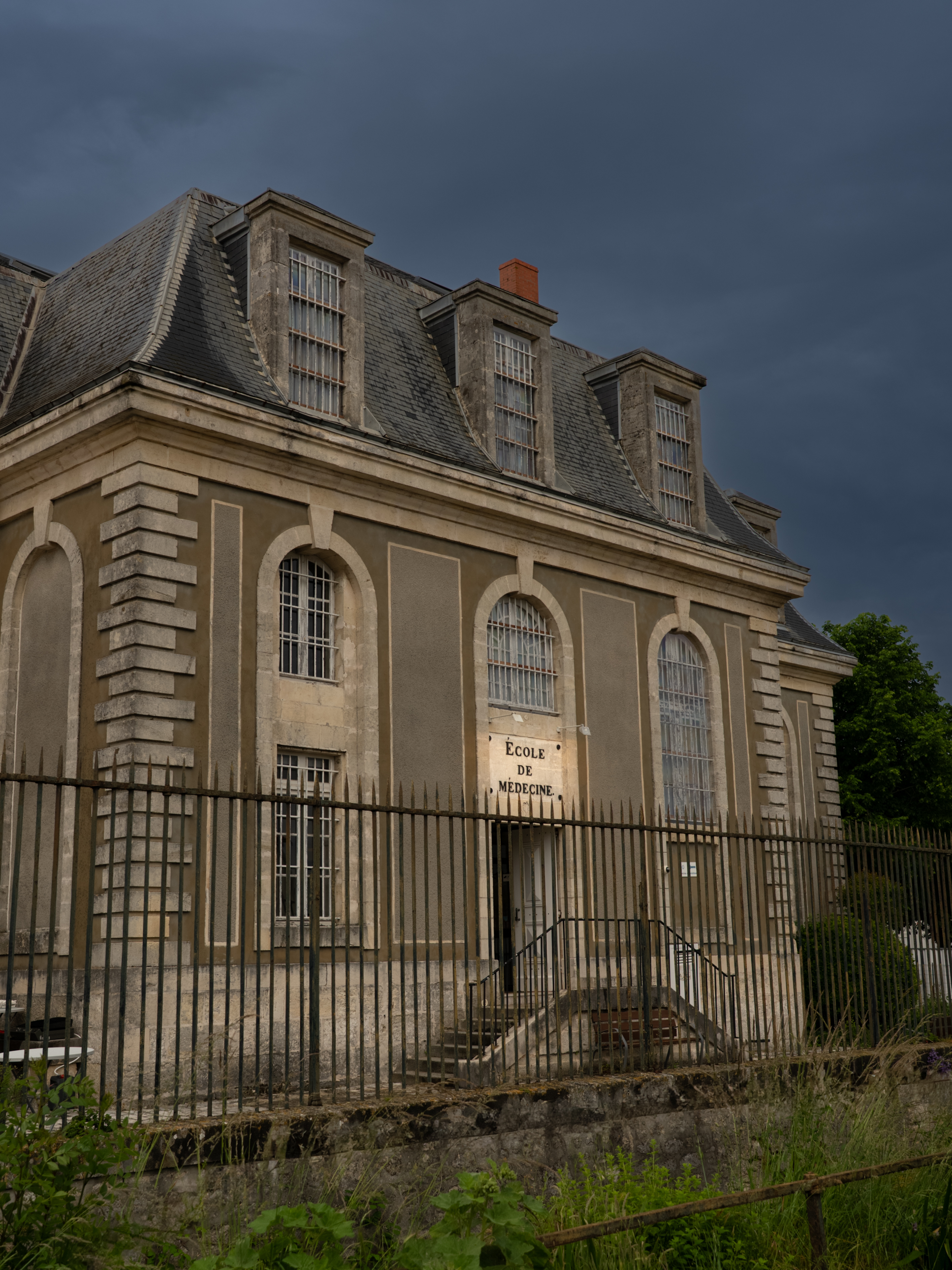 Visites guidées de la bibliothèque et des collections