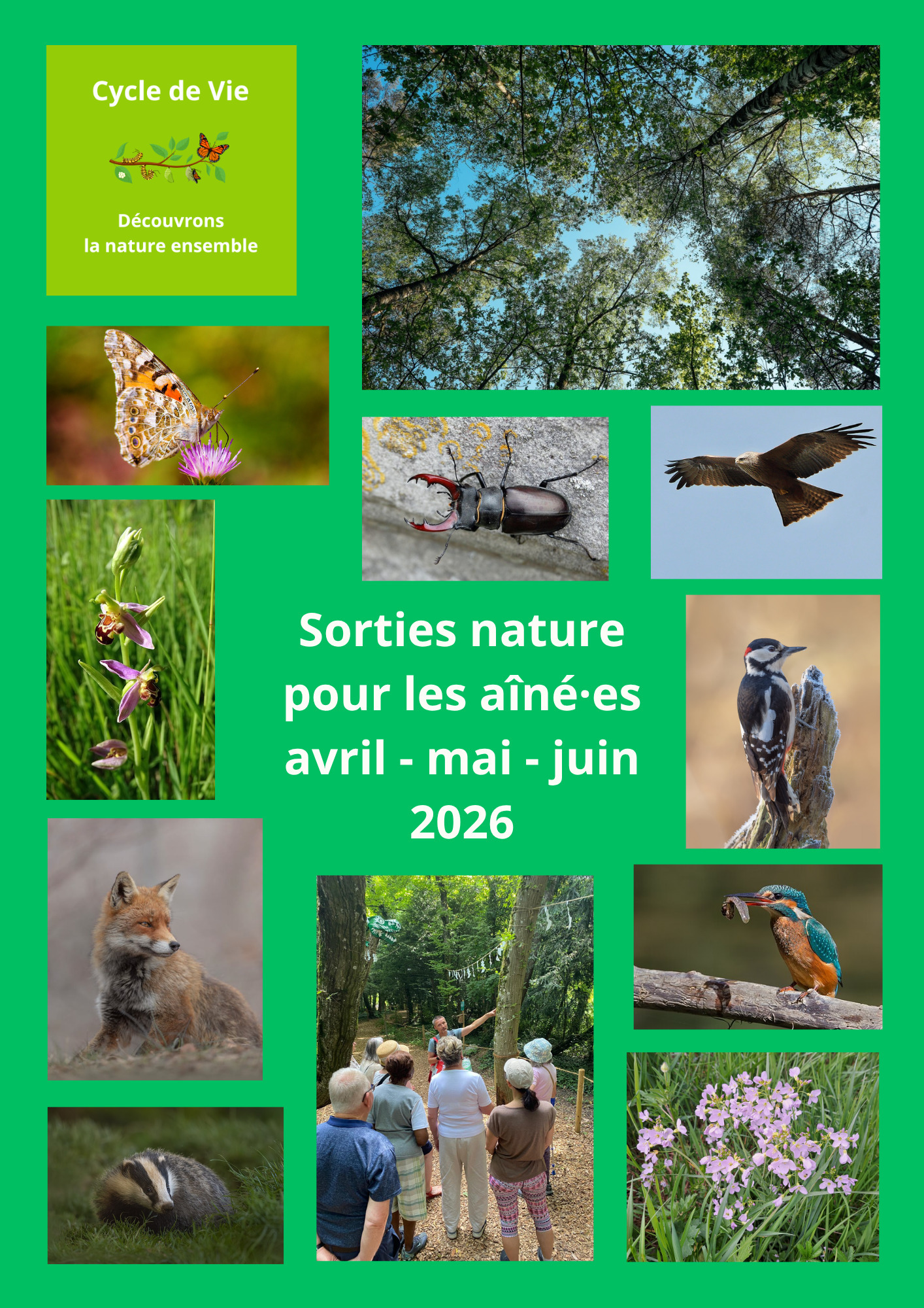 Au fil de l'eau dans le vallon de l'Aire