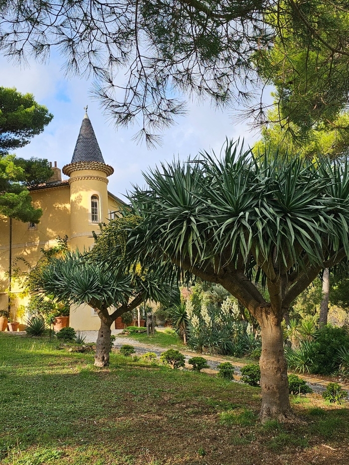 Le château noir jardin botanique