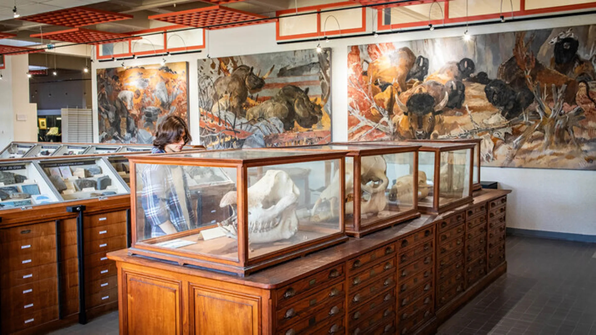 Visite des collections universitaires