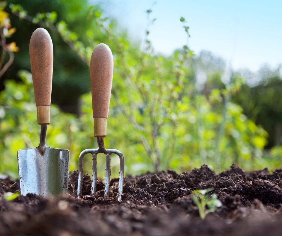 Atelier de jardinage