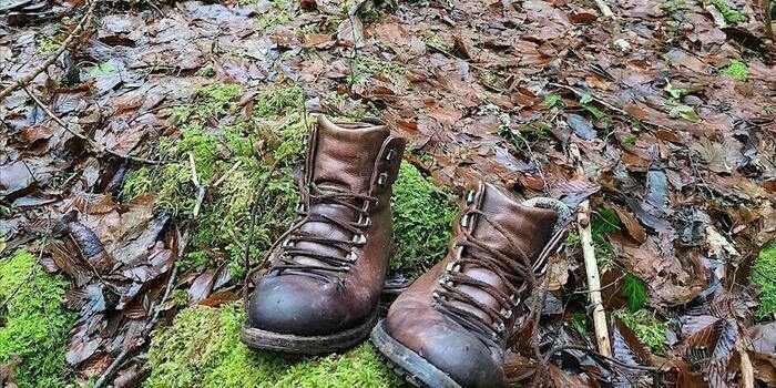 Une Marche du Temps Profond à Villeneuve d'Ascq