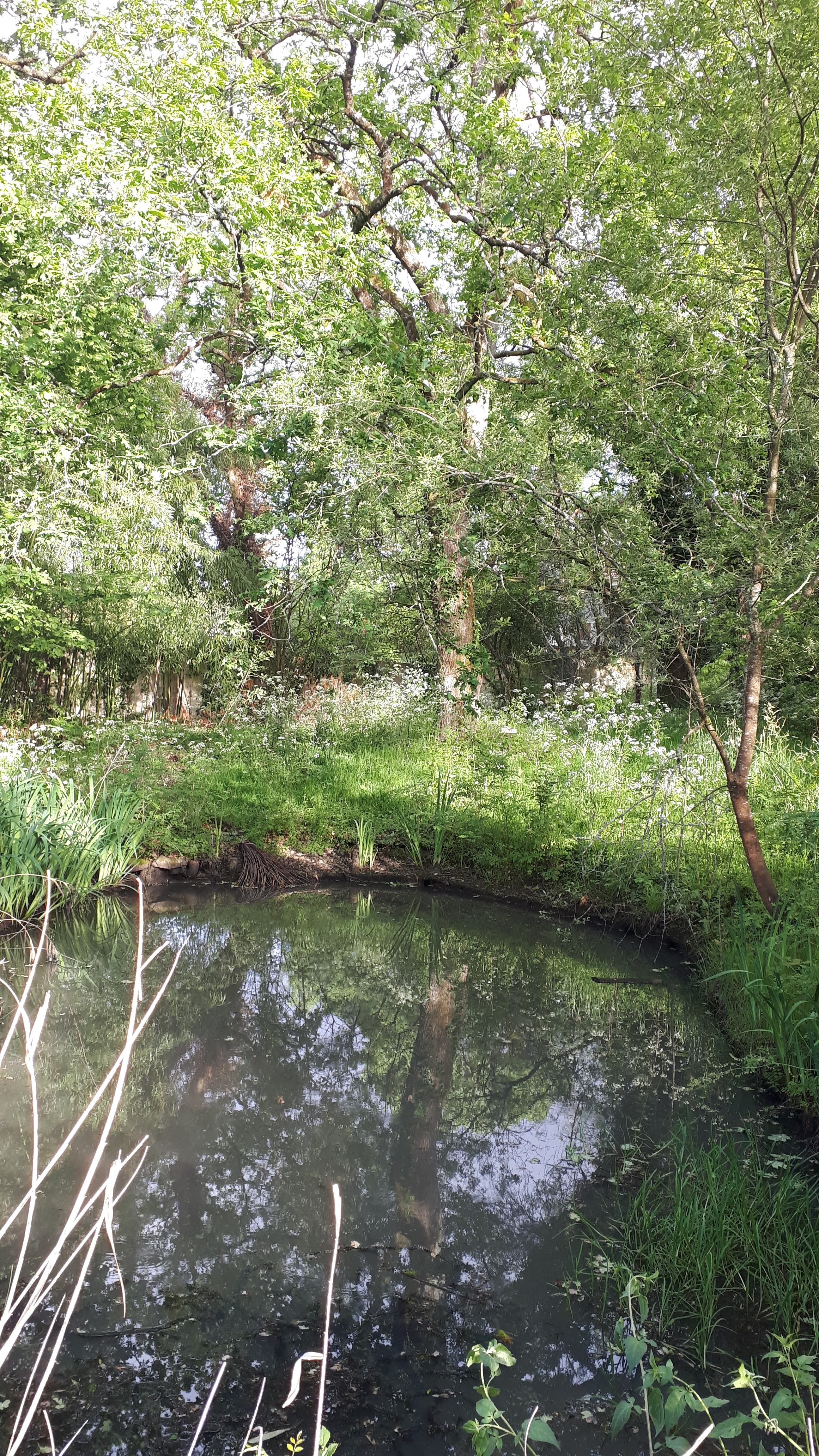 Immersion au sein de l'oasis de nature en ville du Lieu Utile