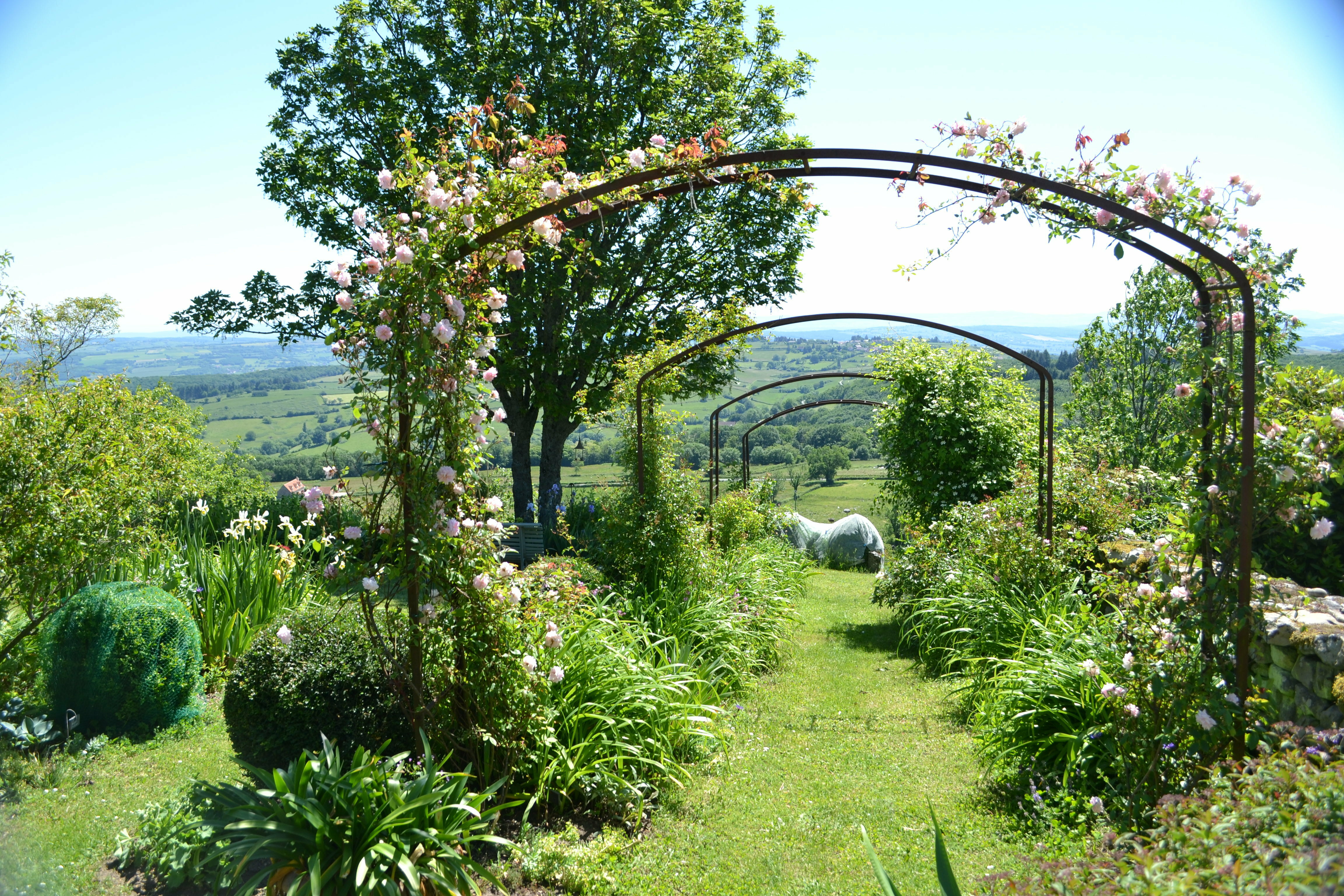 Visite découverte du jardin de la Pierre tranquille