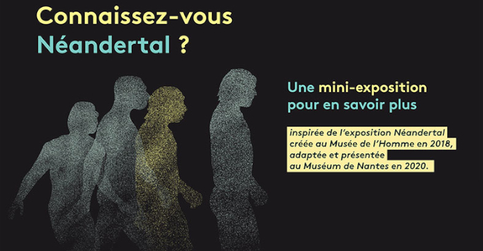 Médiathèque l'Echappée