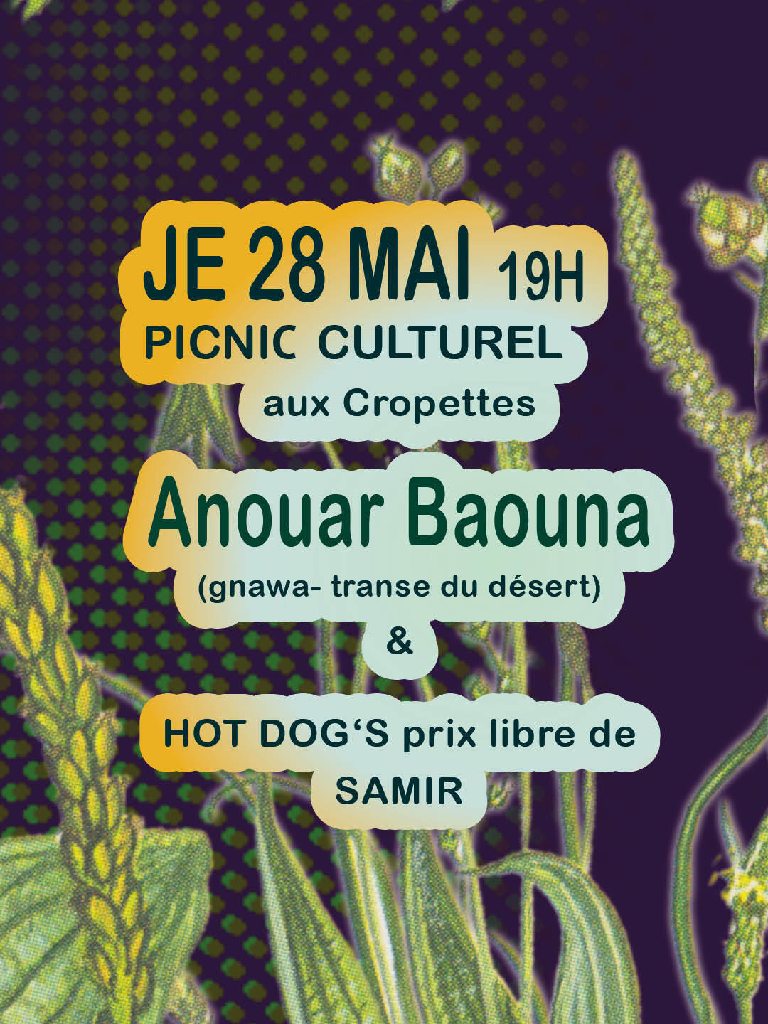 Picnic Culturel avec Anouar Baouna