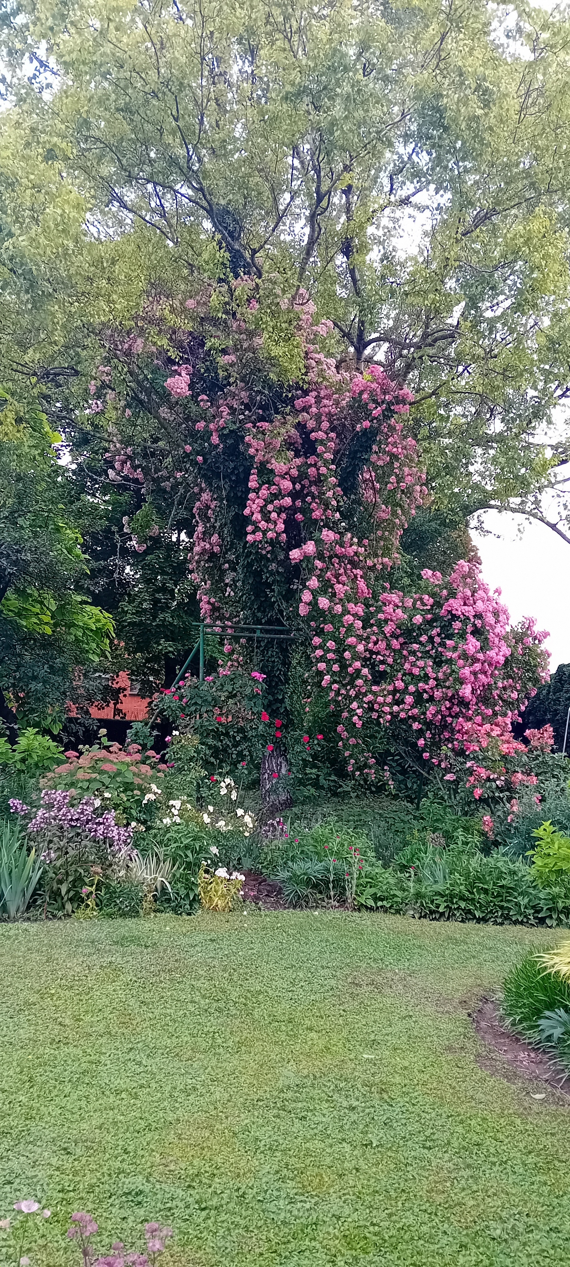 Balade au jardin