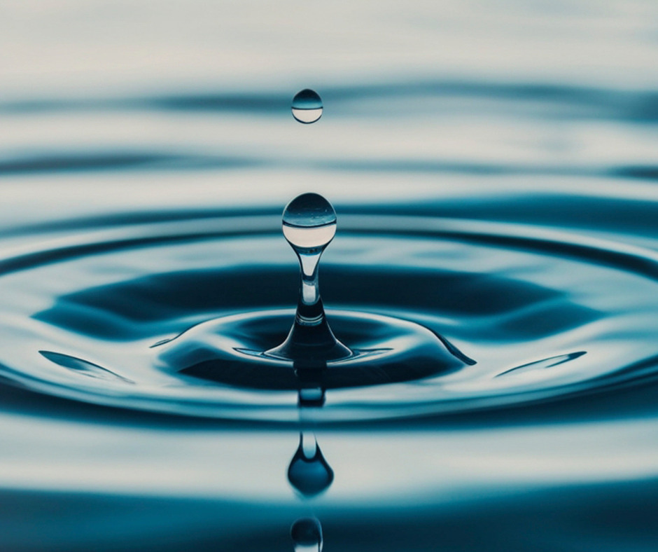 L’eau dans ma ville, l’eau dans ma vie