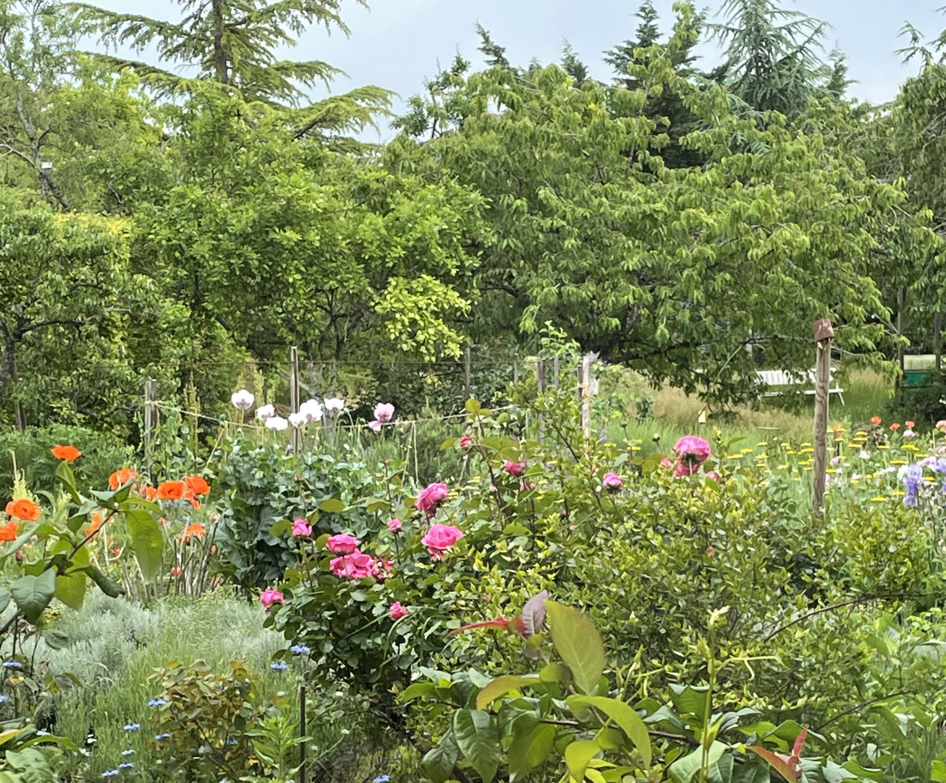 Visite découverte du Jardin des Cras