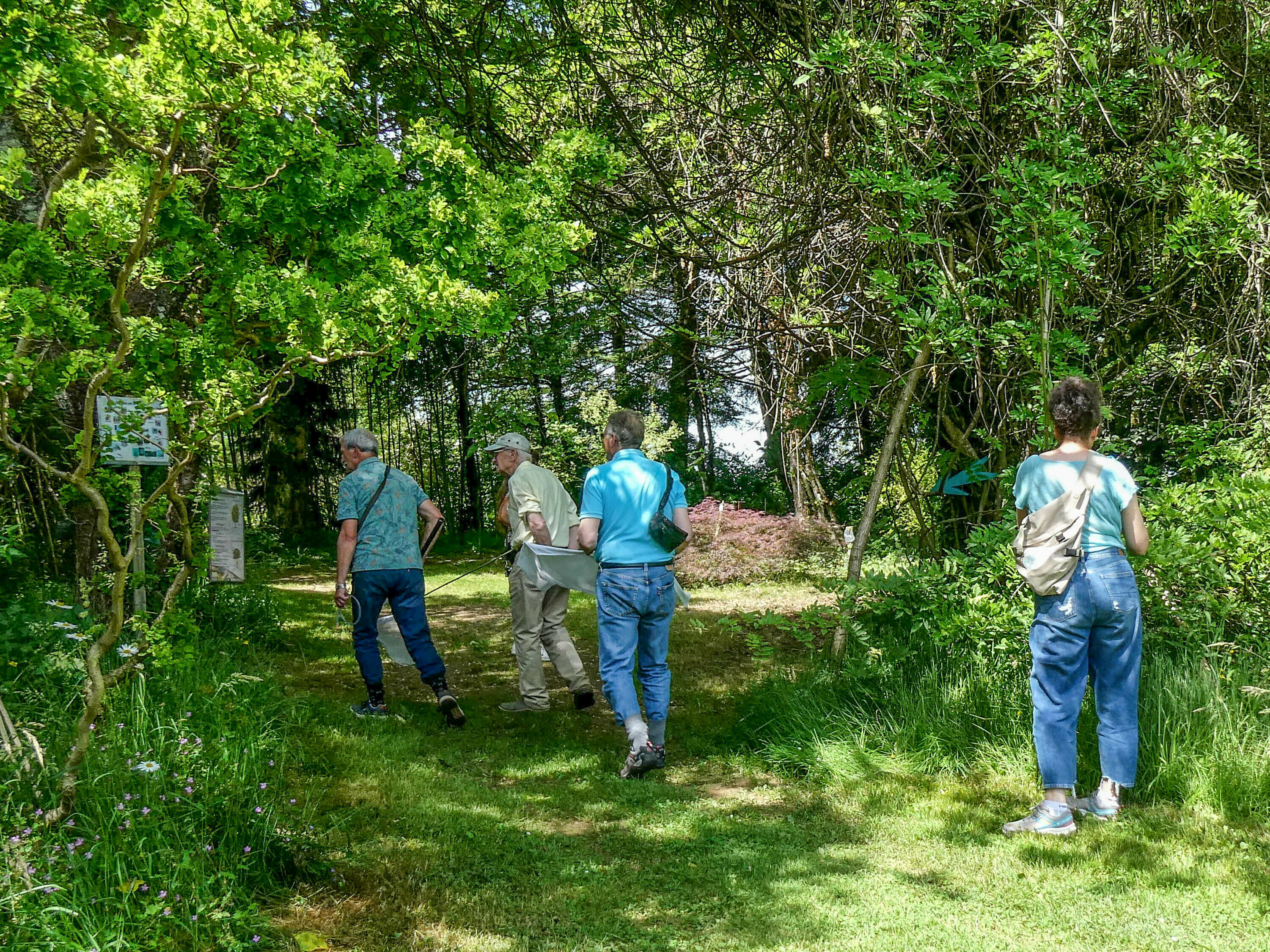 Visite de l'arboretum