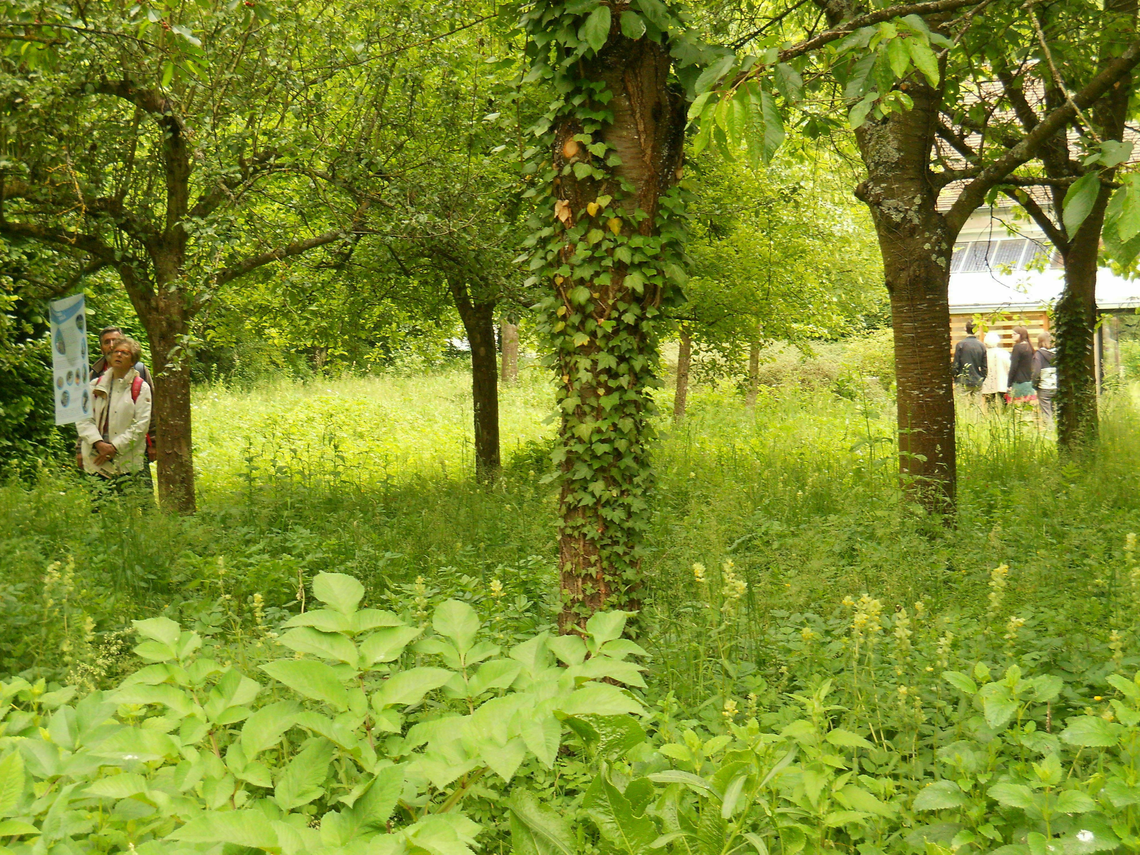 Visite libre du jardin du CAUE