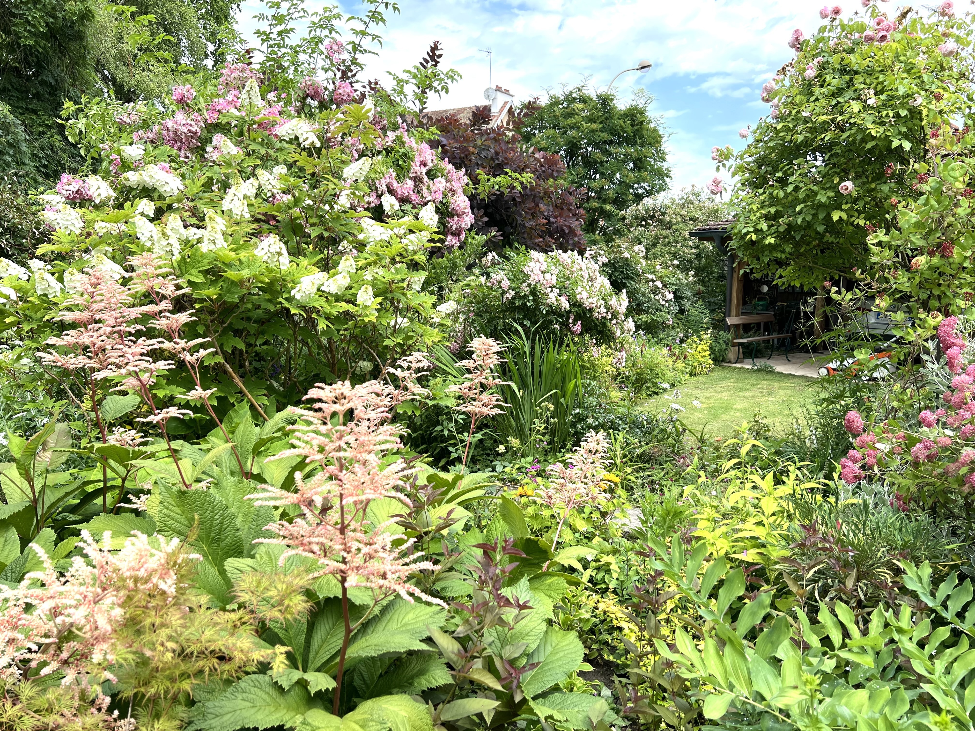 Visite d'un joli petit jardin de village