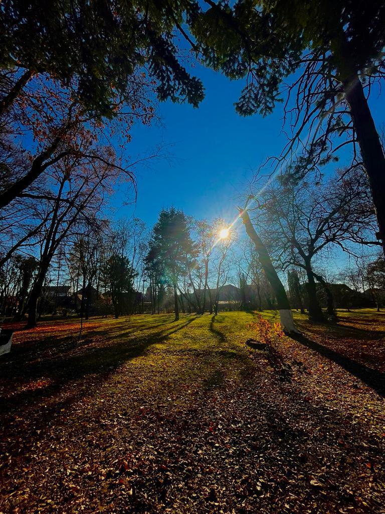 Le privilège historique artistique et littéraire du Parcul Dendrologic Gurghiu