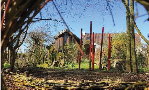 Willow Land Art - Le saule paysager
