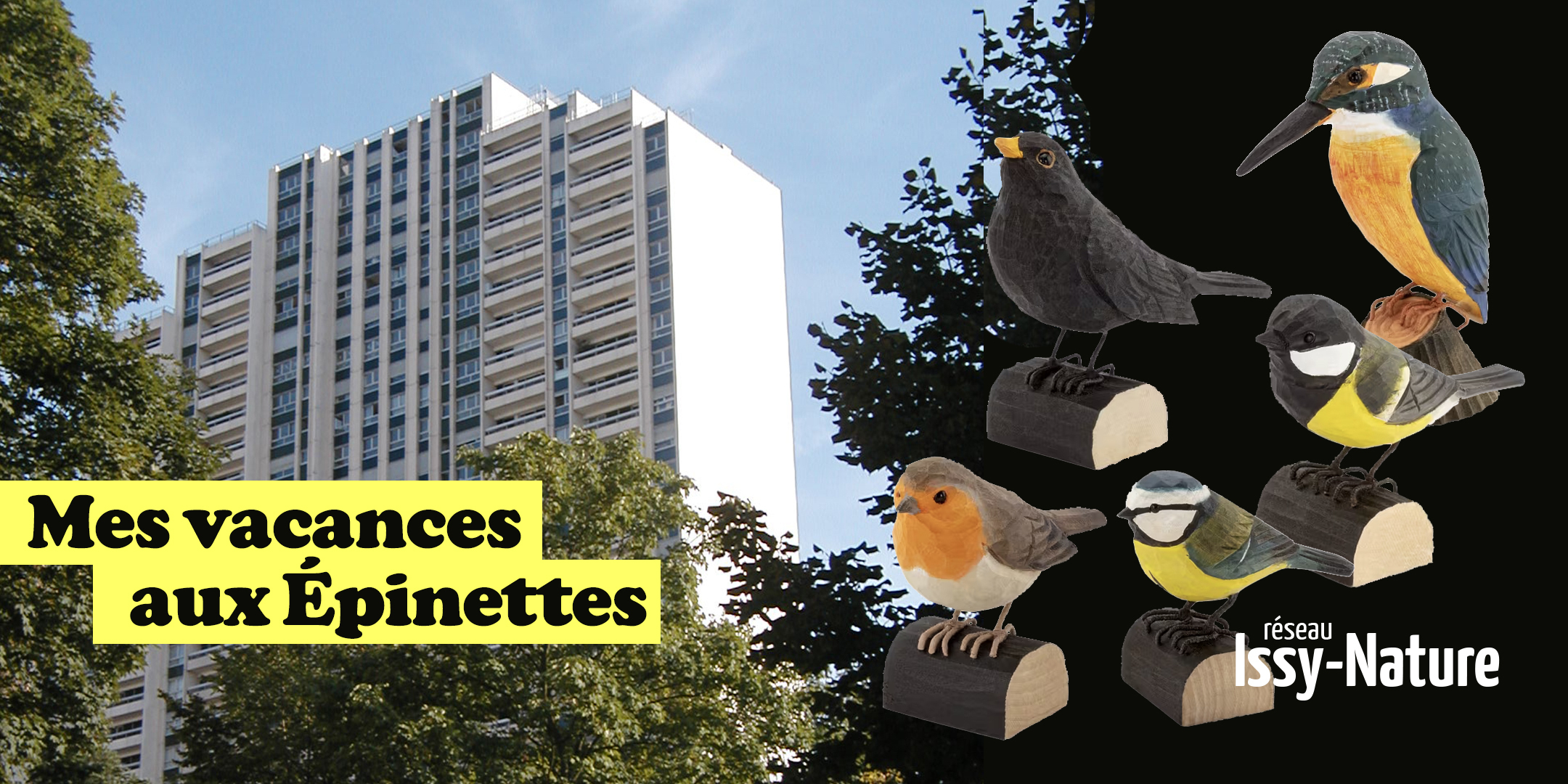 Découverte de l'ornithologie