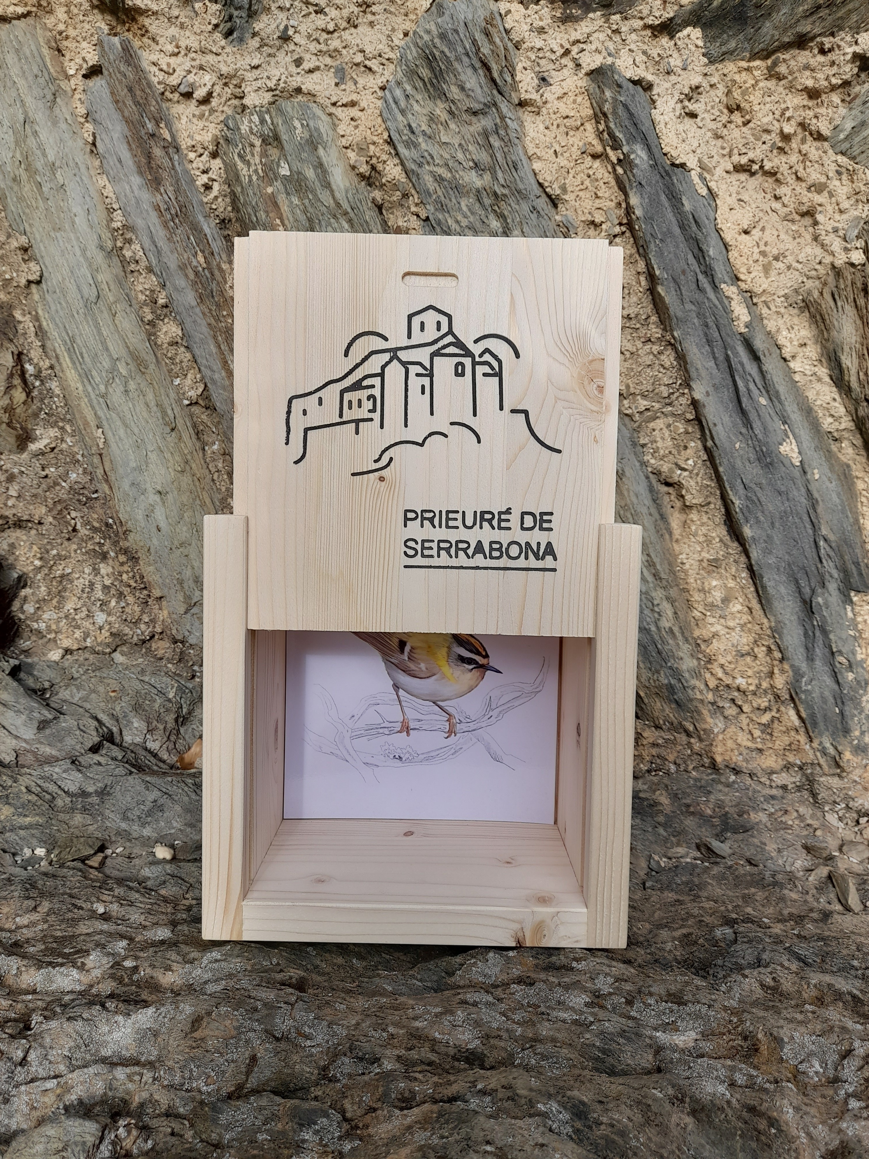 Jeu : « À la découverte des oiseaux de Serrabona ! »
