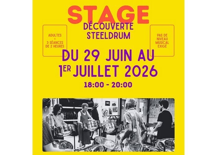Stage de découverte du steeldrum