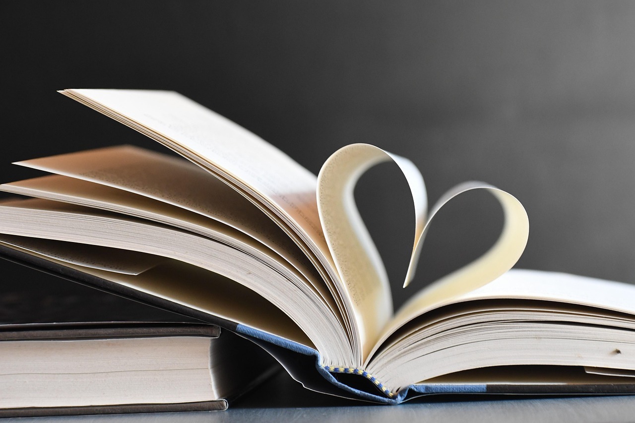 RENDEZ-VOUS DES LECTEURS ADOS/YOUNG ADULT