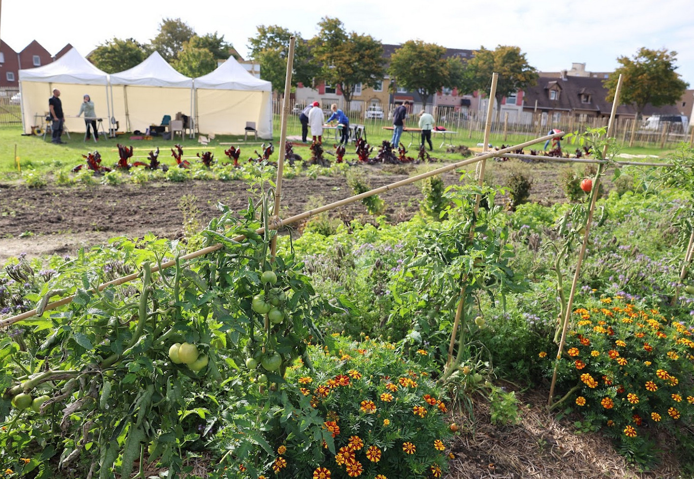 LES SAMEDIS A LA MICROFERME COMMUNALE POUR L'ENTRAIDE ALIMENTAIRE