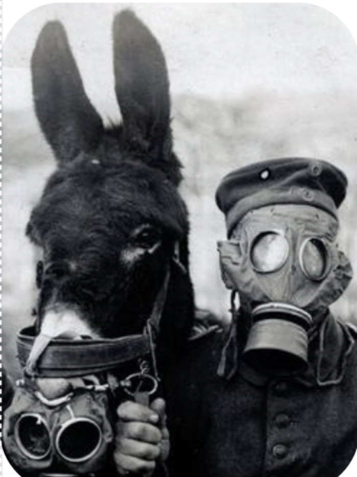 LES ANIMAUX ET LA GUERRE