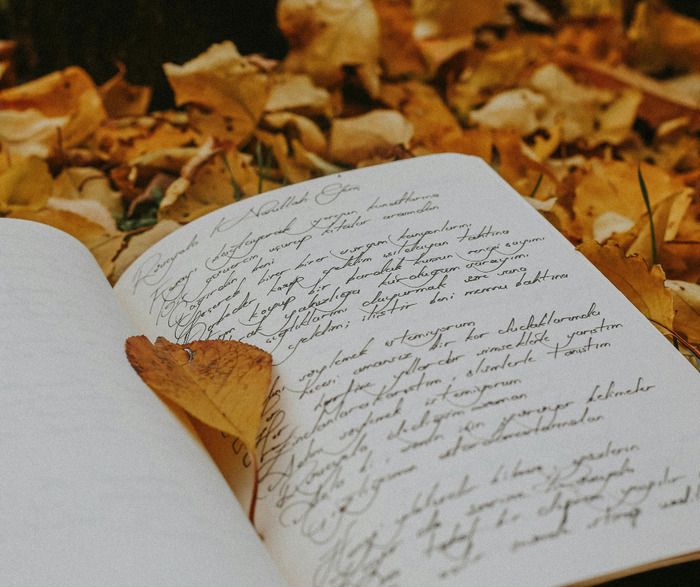 Atelier d’initiation à la poésie pour les séniors – Centre Social et Culturel Flers-Sart