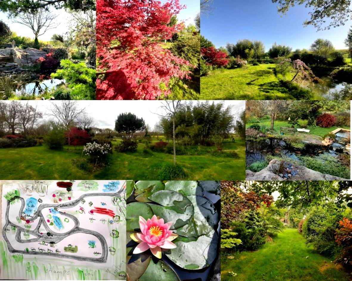Visite libre d'un jardin en évolution