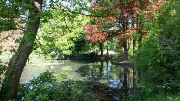 Des richesses dans un  écrin de verdure