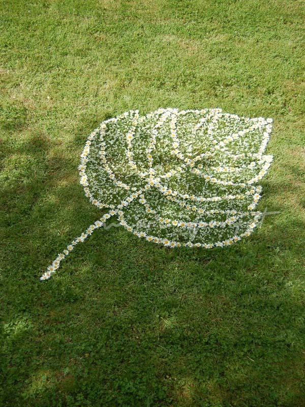 Exposition Land Art : Marc Pouyet, artiste de nature