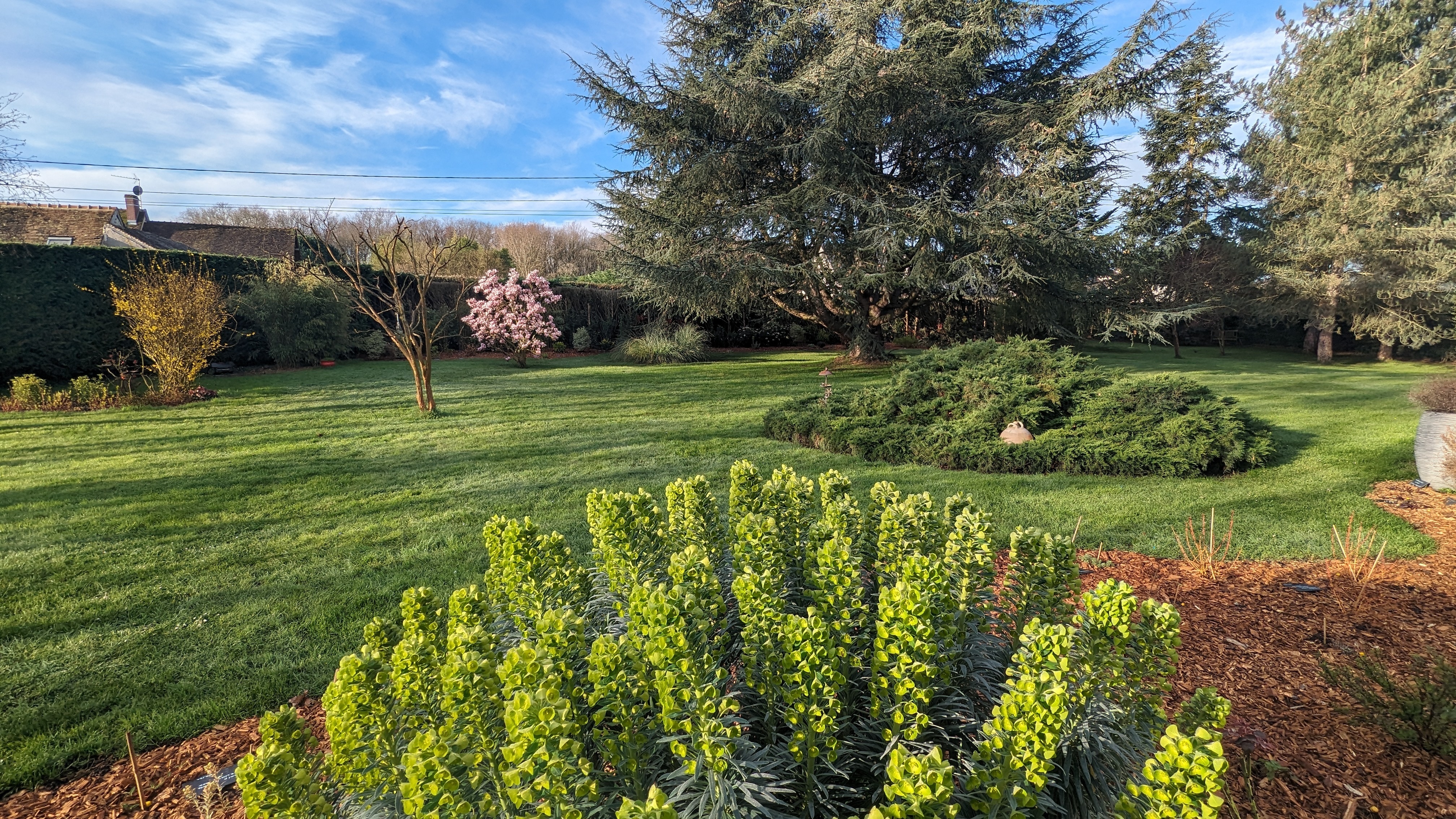 Visite découverte commentée du jardin