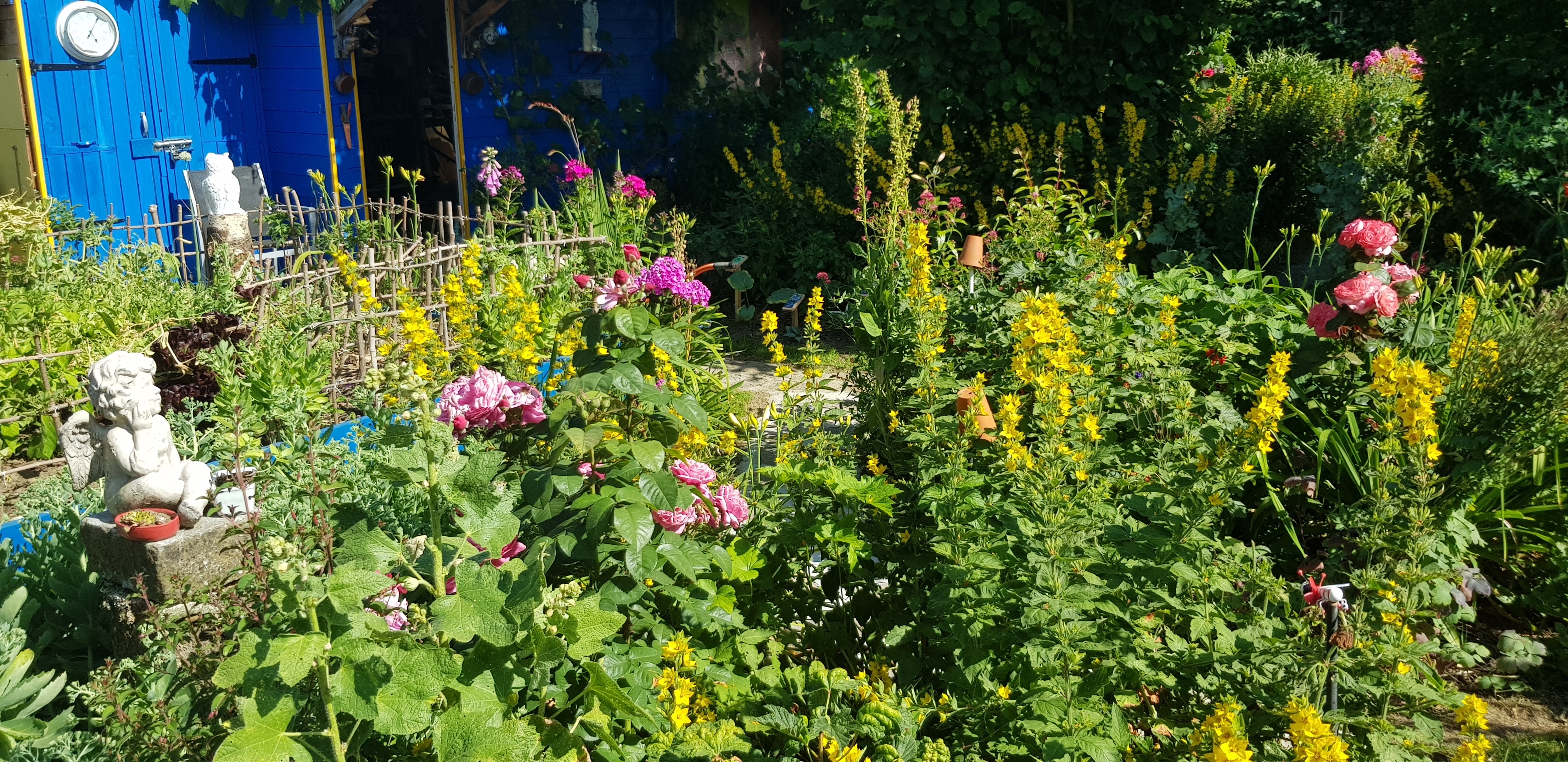 Visite libre ou commentée d'un jardin de grand-mère