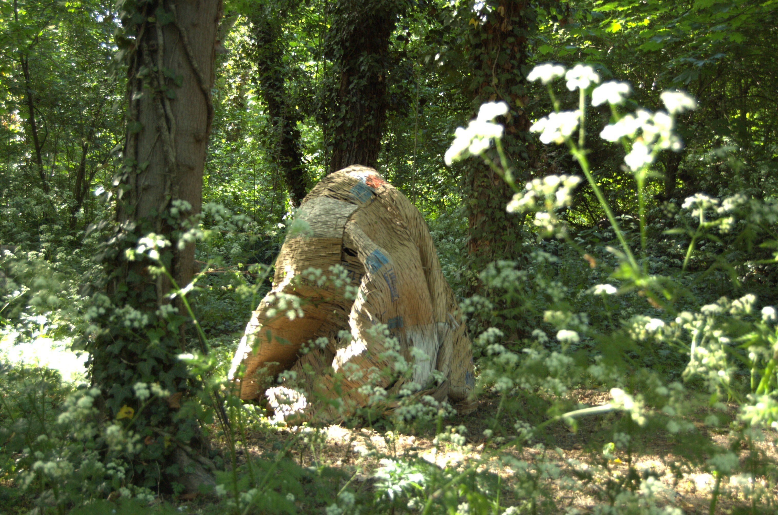 Seconde nature