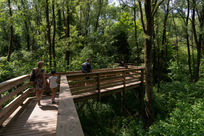 Balade naturaliste : une biodiversité sans frontière