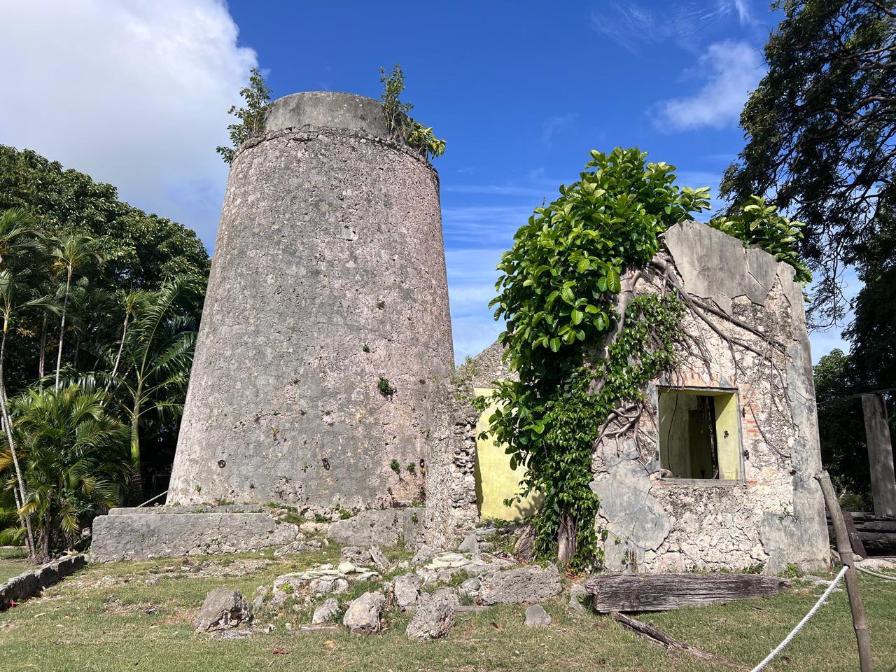 À la découverte de 300 ans d'histoire de canne, de sucre et de rhum